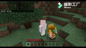 骇客生存最新爆料视频,揭秘顶级黑客的生存法则与实战技巧  第1张